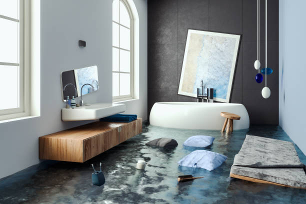 Best Commercial water damage restoration  in Bellevue, IL