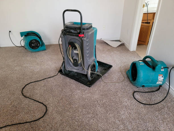 Local water damage restoration in Bellevue, IL