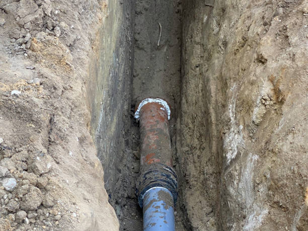 Best Local water damage restoration  in Bellevue, IL