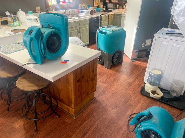 Best Water damage restoration near me  in Bellevue, IL
