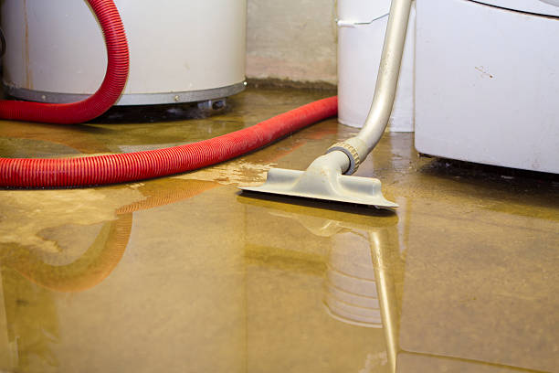 Best Mold removal after water damage  in Bellevue, IL