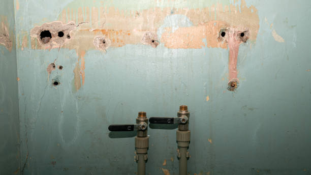 Water damage restoration mold remediation in Bellevue, IL