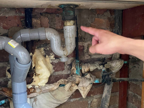 Best Water damage contractors near me  in Bellevue, IL