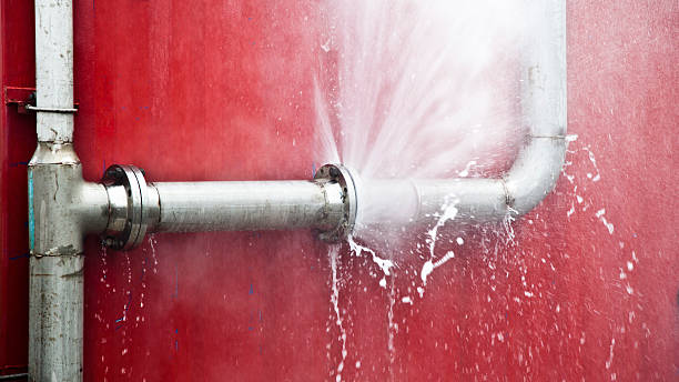 Best Flooded house restoration  in Bellevue, IL