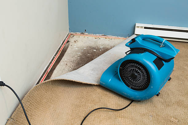 Sewage cleanup and water damage restoration in Bellevue, IL