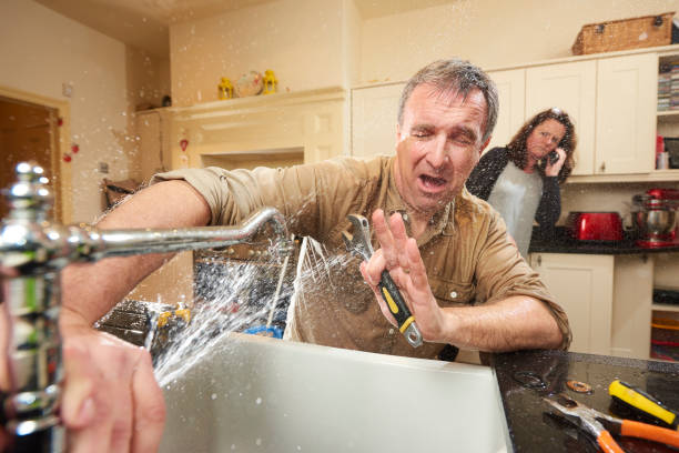 Best Basement water damage restoration  in Bellevue, IL